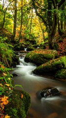 Obraz premium Forest stream flows over mossy rocks, autumn foliage overhead; vertical nature shot