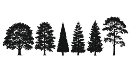 Fototapeta premium Set of Six Detailed Black Silhouettes Showcasing Diverse Tree Species—Including Broadleaf Deciduous and Various Conifers like Pines and Firs—Isolated on a Clean White Background for Nature or Forestry