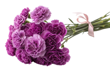 Pink carnations on a transparent background. A Mother's Day gift. Gratitude.
Purple carnations on a transparent background. A Mother's Day gift. Gratitude.