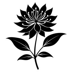 Obraz premium black and white flower vector