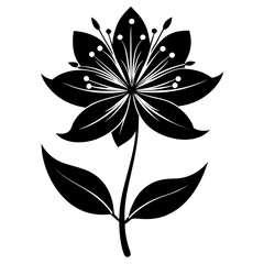 cleome serrulata silhouette on white background