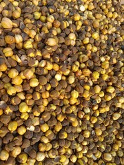Roasted yellow gram pile show for sale in the market or Cicer Arietinum pile pattern 