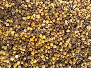 Roasted yellow gram pile show for sale in the market or Cicer Arietinum pile pattern 