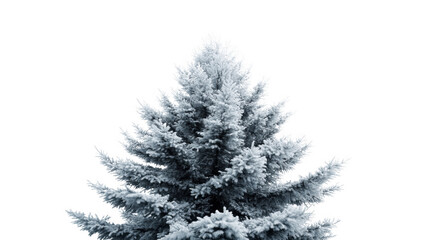 Fototapeta premium Frosty pine tree stands alone in a snowy landscape, created AI, PNG