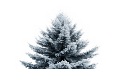 Frosty pine tree stands alone in a snowy landscape, created AI, PNG