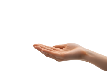 Open Hand Palm Up Gesture Isolated on White Background