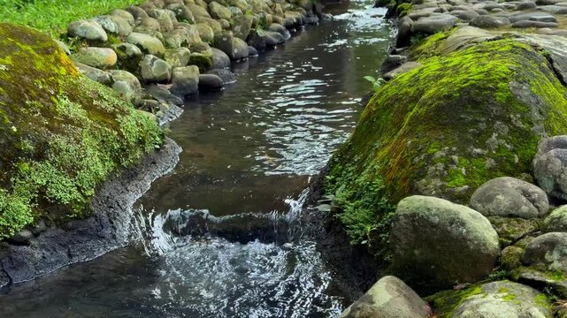 A tranquil stream gently flows between mossy rocks. Nature Video or flowing water ASMR loops.