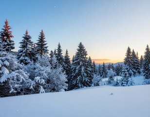 Naklejka premium Serene Scenic Winter Forest Landscape With Snow Covered Pine Trees