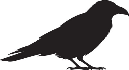 Raven Crow Silhouette — Dark Bird Shape, Animal Wildlife Vector Design