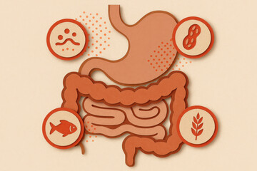 Stomach and intestines paper cut art showing highlighted allergen reactions. minimal icon design with muted warm tones for medical awareness about food allergy and intolerance