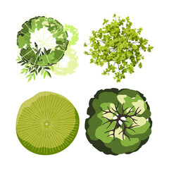 Collection of green leafy vegetable tops in a circular pattern