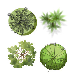 Collection of various green foliage and leafy tree branches on for design elements