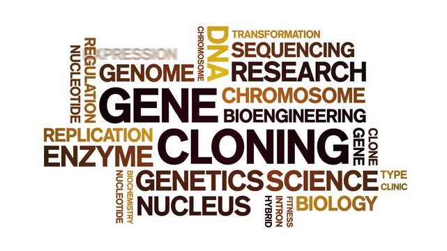 Gene Cloning animated word cloud-text design animation tag kinetic typography seamless loop.