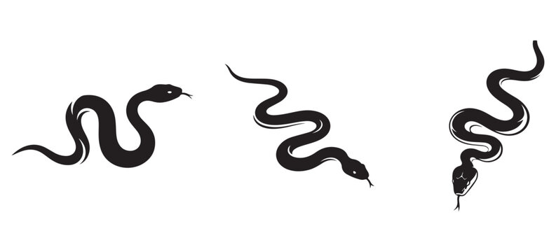 Three Black Snake Silhouettes Set Vector Illustration Logo Design
