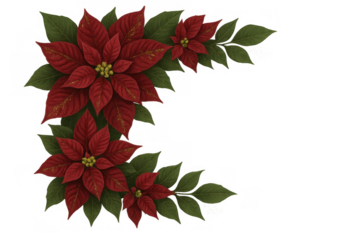 Poinsettia flowers and green leaves forming a festive corner border, perfect for holiday-themed designs, on a transparent background