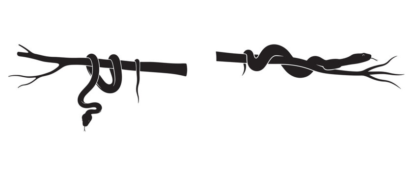 Jungle Snake Icons: Black Serpent Silhouette on Branch Vector Art