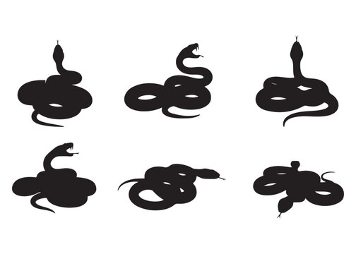 Set of Six Black Snake Silhouettes Isolated on White Background