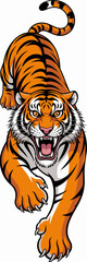 Naklejka premium Roaring Tiger Prowling Forward with Menacing Stare on White Background, Threatening Wildlife Hunter in Action, Cartoon Illustration for Sports Team Mascot, Aggressive Predator Animal Design for Market
