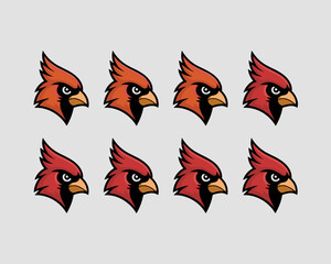 Cardinal Bird Mascot Head Evolution: An Animated Array of Avian Logos Showcasing Wildlife Illustration, Sports Team Emblem Design, and Graphic Symbol Development for Conservation & Educational Project