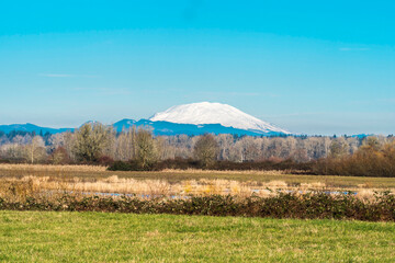 Oak Island Wildlife Refuge, Sauvie Island, Oregon