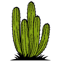 Cactus Tree Drawing Vector Illustration