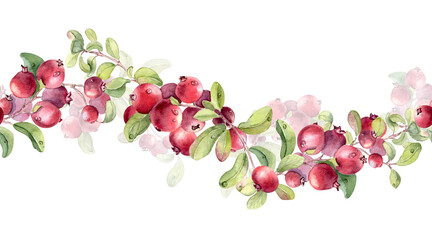Lingonberry branch with red berries and green leaves watercolor illustration isolated on. Seamless border of cranberry hand painted. Botanical repeat for design element, border, frame, card, pattern.