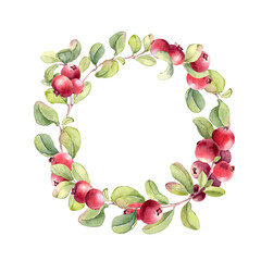 Cranberry wreath on white background. Watercolor illustration of fresh red berry fruit hand painted. Lingonberry drawing for food packaging, label, or recipe card design. Frame of fresh vibrant ripe.