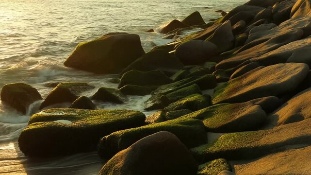 A calming timelapse of the ocean tide in a rocky cove with water rhythmically advancing and receding against moss-covered stones at golden hour, concept of eternal marine rhythm