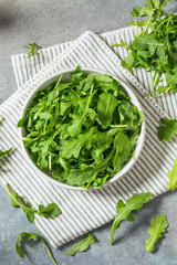 Organic Healthy Green Arugula Lettuce Herbs