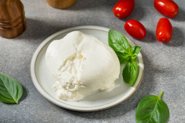 Healthy Organic White Burrata Mozzarella Cheese
