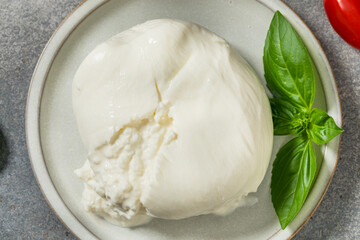 Healthy Organic White Burrata Mozzarella Cheese