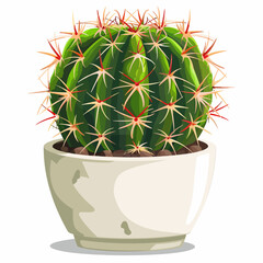 Pincushion cactus in white pot