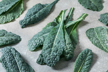 Healthy Italian Lacinato Dinosaur Kale