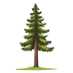 Illustration of a pine tree 