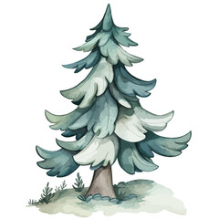Pine tree vector