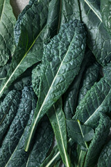 Fototapeta premium Healthy Italian Lacinato Dinosaur Kale