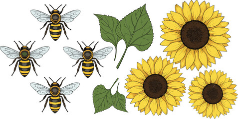 Realistic Hand-Drawn Sunflowers and Busy Honey Bees Vector Set, Ideal for Summer Nature Prints, Farmhouse Decor, Garden Labels, and Floral Wedding Invitations
