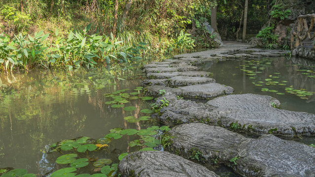 A pedestrian path made of concrete sections of bizarre shapes runs along the pond. The leaves of water lilies on the surface of the water. Lush green vegetation on the shore. Reflection. China. 
