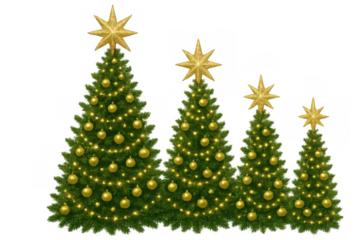 Christmas trees with golden stars and ornaments, sparkling lights, celebrating holiday season