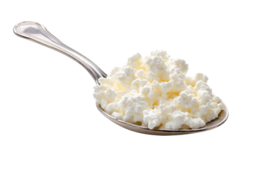 A spoonful of creamy cottage cheese on a black background