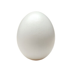 A single white egg isolated on a stark black background