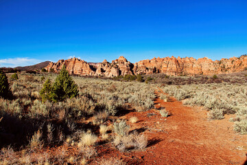 Fototapeta premium Late Afternoon in Cave Valley with a View of the Unusual Red Rock Sandstone Formations on Kolob Terrace Road in Zion National Park in Utah.