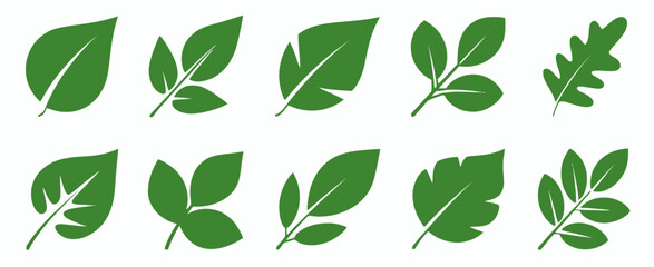 Flat Green Leaf Collection Ten Different Shapes Isolated on White leaves