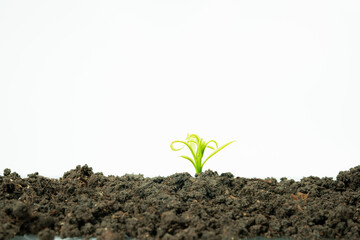 web banner business and finance investment and saving activity with small tree on gold coin arrange...