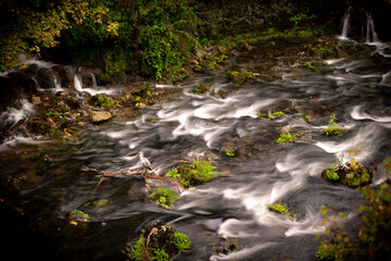 waterfall in the forest
