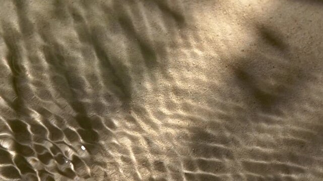 Close-up water surface ripples and splash, palm tree leaf shadow on sand texture