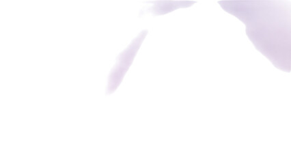 Abstract white smoke resembling a feather or a soft, flying wing, isolated against a light background