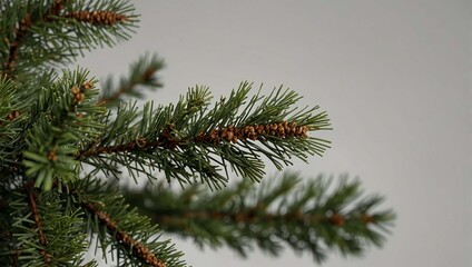 Close-up of Artificial Christmas Pine Branch.  Generative Ai