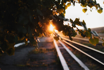 Sunset through overhanging leaves near railway tracks creating warm, golden glow with peaceful, natural ambiance