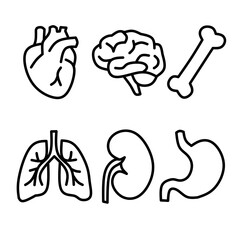 Human Organs Outline Icon Set Black and White Vector